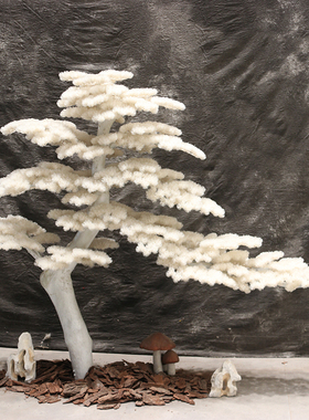 仿真迎客松雪松白色松树景观室内造景假树枯木大型造型中式玄关