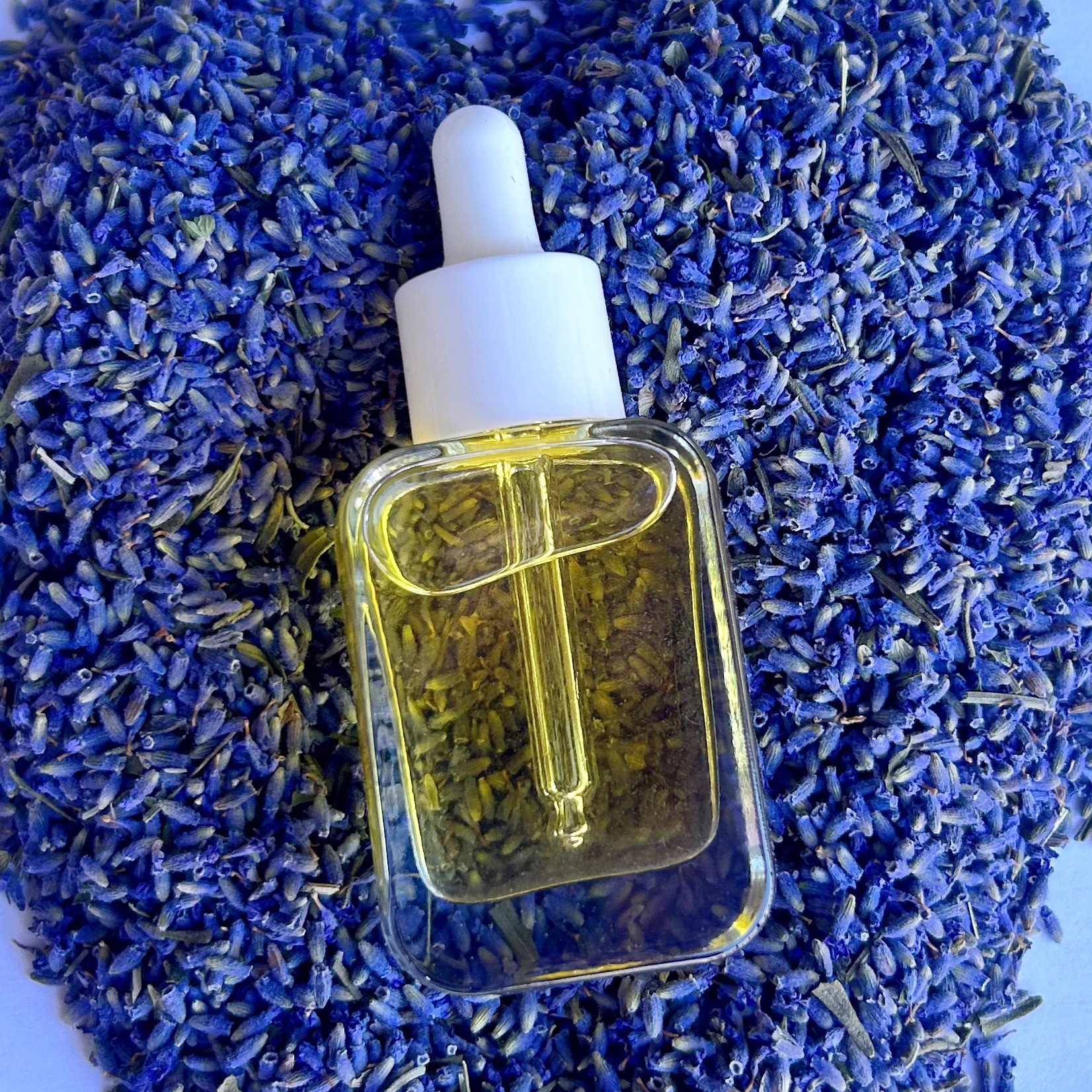 简易护肤天然山茶油浸泡薰衣草油