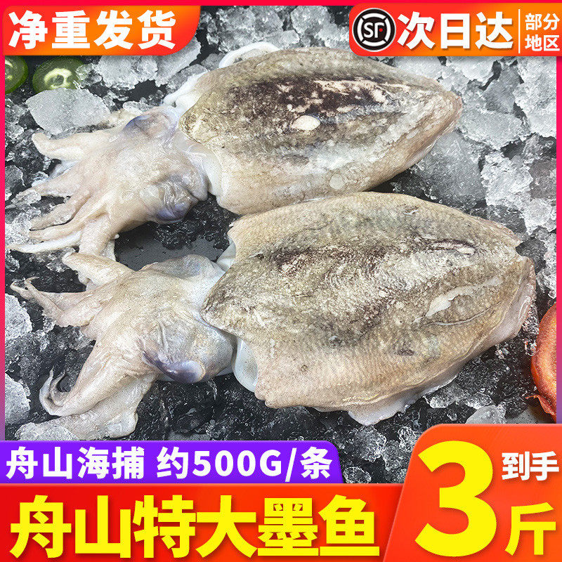 3斤东海野生超大墨鱼新鲜冷冻目鱼鲜活乌贼海鲜花枝爆头八爪章鱼