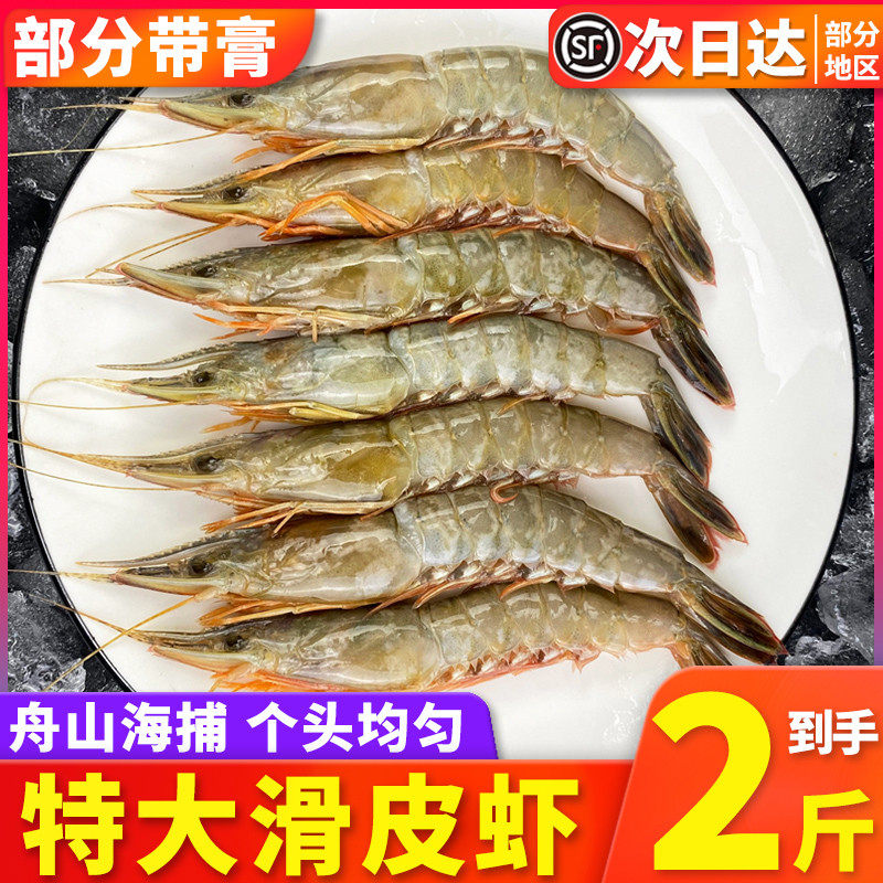 2斤舟山野生滑皮虾新鲜冷冻特大超大剑条虾鲜活速冻冰鲜硬壳海虾,水产肉类/新鲜蔬果/熟食,冻虾,淘宝优惠券,粉丝福利购,淘宝优惠卷