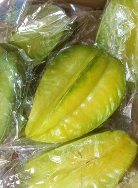 新鲜现摘广东茂名甜杨桃阳桃树上黄大果纯甜多汁当季孕妇水果包邮