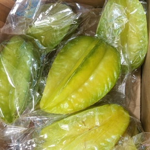 新鲜现摘广东茂名甜杨桃阳桃树上黄大果纯甜多汁当季孕妇水果包邮