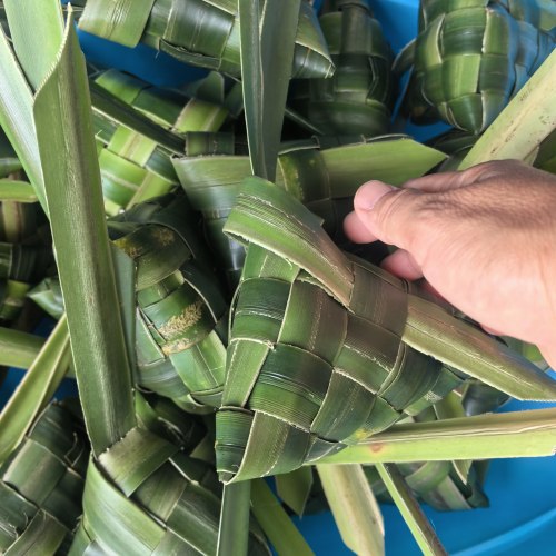 新鲜粽子叶露茶芦罗鼓仔山野菠萝