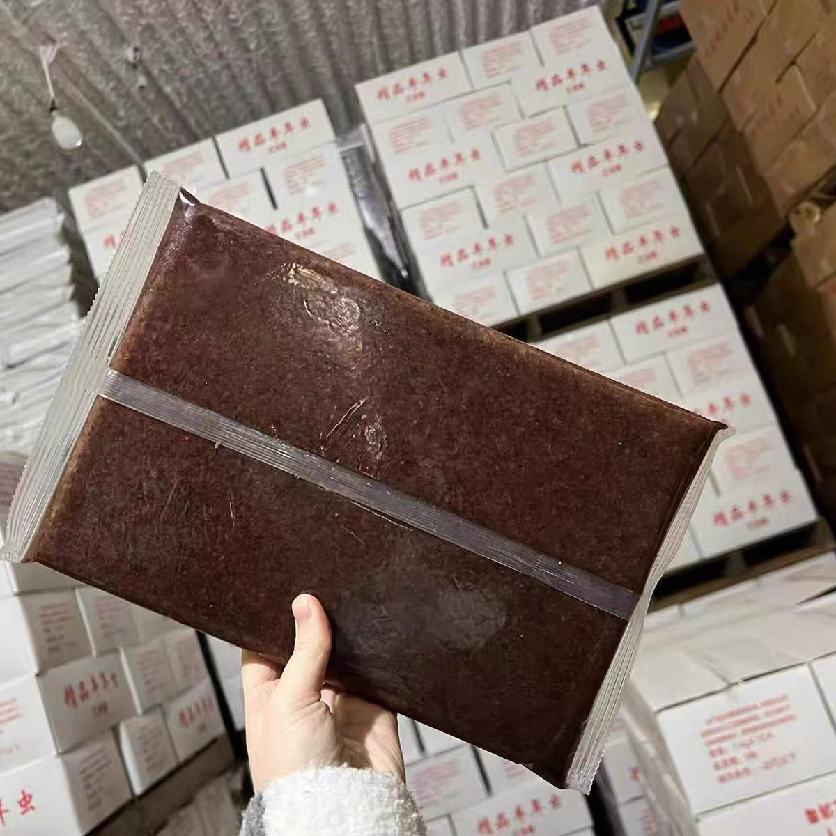 渤海湾冷冻无水冰冻丰年虾卤虫丰观赏鱼饲料
