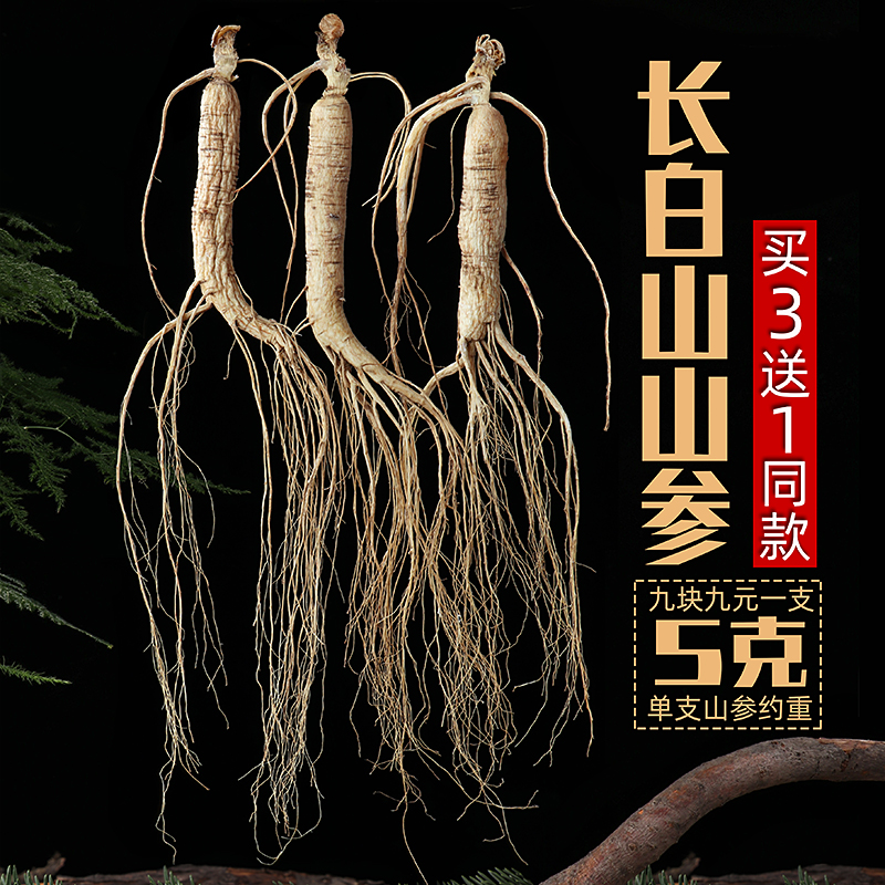 长白山人参山参整支干吉林人参粉营养滋补品泡水喝泡酒买3送1单支