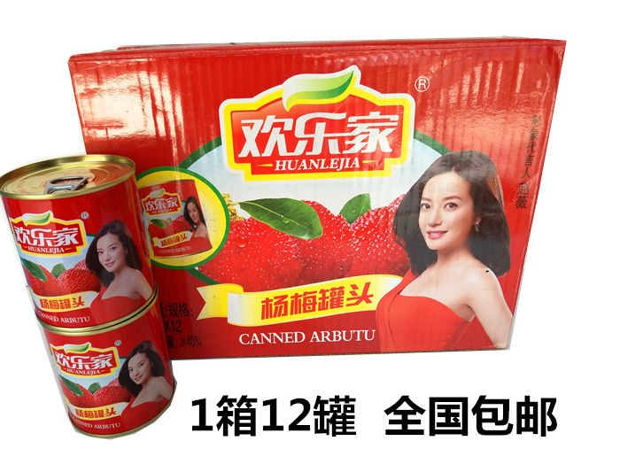 欢乐家水果罐头杨梅罐头318克*12瓶整箱礼盒糖水酸甜食品全国包邮