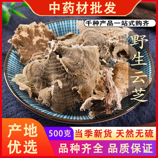 同仁堂品质云芝中药材新货云芝蘑云芝菌灵芝蝴蝶菌500克g可代磨粉