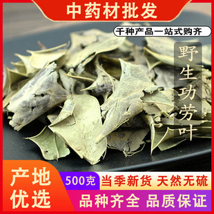 同仁堂品质功劳叶十大功劳叶猫儿刺枸刺八角刺中药材500克g可磨粉
