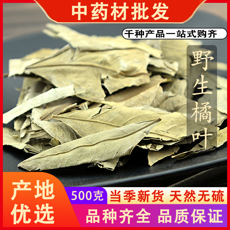 同仁堂品质橘叶新货橘子叶桔子叶金橘叶桔叶中药材可代磨粉500克g