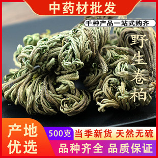 同仁堂品质卷柏九死还魂草万年松回生草岩柏中药材500克g可代磨粉