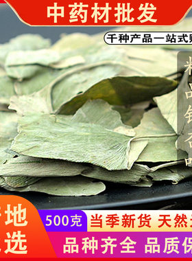 同仁堂品质无硫银杏叶新鲜白果叶干货银杏叶茶中药材可磨粉500克g