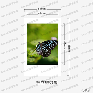 拍立得效果图片定制照片插画绘画生活照小卡片艺术微喷打印