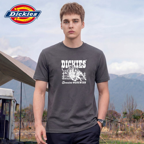 Dickies新款印花短袖T恤衫