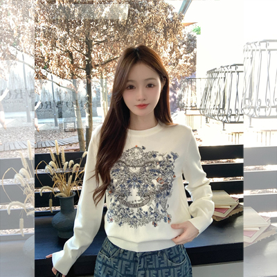 百搭长袖圆领针织衫女羊毛刺绣图