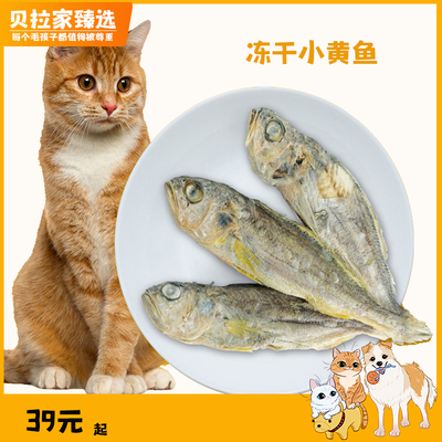 FISHERMANPET 冻干小黄鱼猫咪狗狗宠物零食100g新鲜营养高蛋白