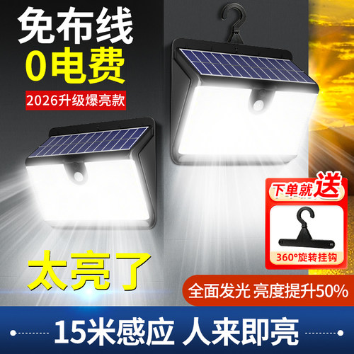 太阳能灯天黑自动亮新农村照明灯