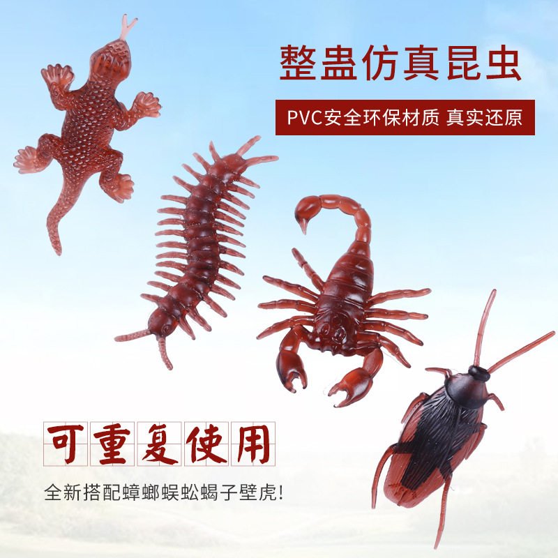 真蟑螂整蛊吓人玩具 假蜈蚣壁虎其它玩具