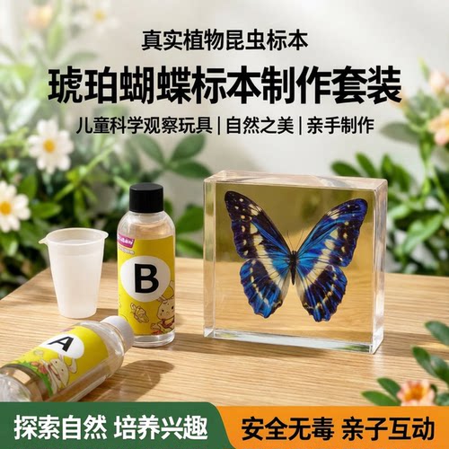 onshine真实植物昆虫标本树脂虫子琥珀蝴蝶制作儿童观察科学玩具
