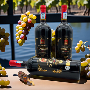 红酒 法国进口女士尊享干红葡萄酒 原瓶原装 参与聚会送礼高端酒