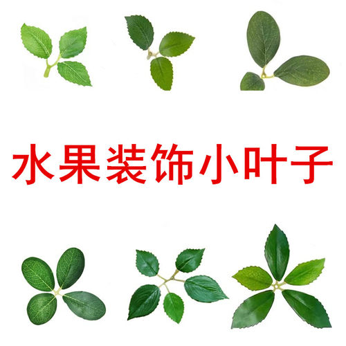 过胶蛋糕装饰水果搭配田园