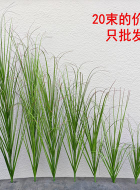 仿真绿植蒲尾草洋葱草芦苇草狗尾巴装饰盆景室内客厅植物造景拍摄