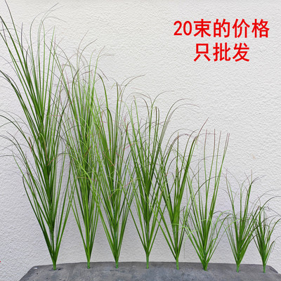 仿真绿植蒲尾草洋葱草芦苇草狗尾巴装饰盆景室内客厅植物造景拍摄