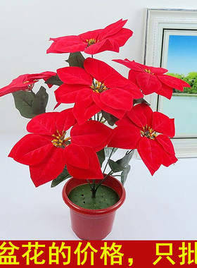 仿真一品红绒布圣诞红色大花朵假花国庆庆典园艺装饰落地摆放盆栽