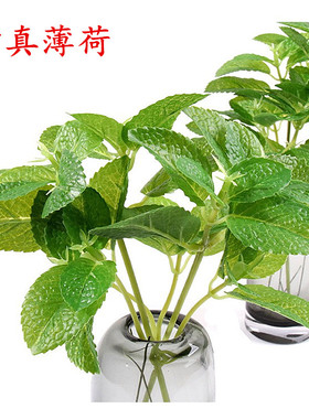 北欧高仿真绿色植物薄荷叶罗勒叶子客厅摆件装饰餐厅摄影道具假花