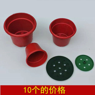 仿真花菊花一品红花器圆形塑料花盆可插插花盆栽清明祭祀可用园艺