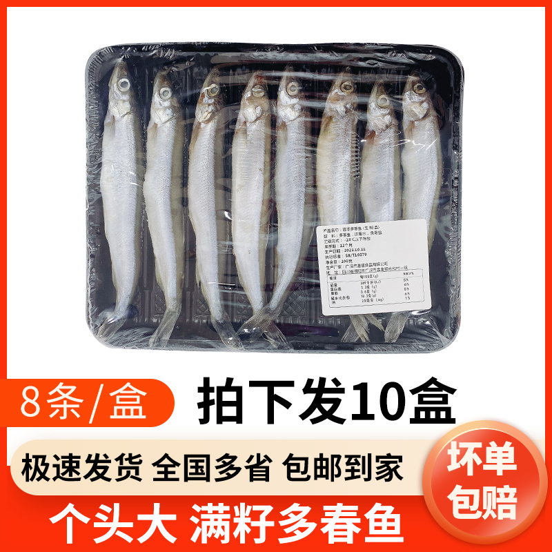 满籽多春鱼100g商用8条装海鱼海鲜烧烤香煎多籽鱼日料寿司食材