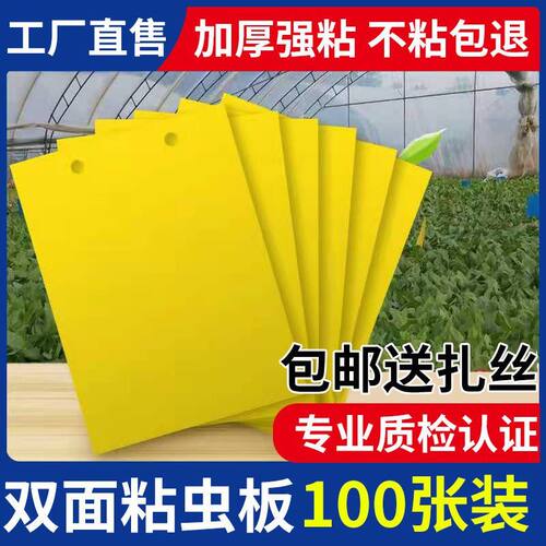 黄板双面粘虫板蓟马纸贴黄蓝飞虫小黑飞果园沾果蝇诱捕器粘板大棚
