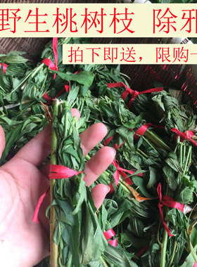 客家野生桃树枝除邪可洗澡可挂房门上枕头下随身携带1份1小扎