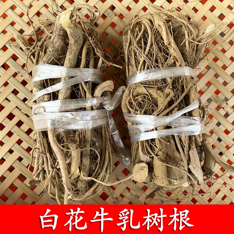 梅州客家土特产正宗野生白花牛乳树根牛奶根煲汤材料汤料500克