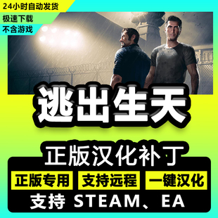 AWayOut/逃出生天 正版中文汉化补丁 支持steam电脑EA/不含游戏