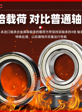 进口耐高温窑炉轴承600度FT6300 6301 6302 6303 6304 6305 6306Z