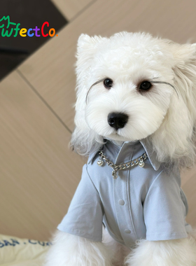 PawfectCo.完美爪爪运动衬衫户外四季正装德文无毛猫马尔泰雪纳瑞