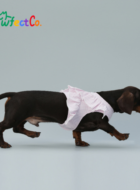 Pawfect Co完美爪爪宠物透气可牵引胸背花边魔术贴调节小型犬胸背