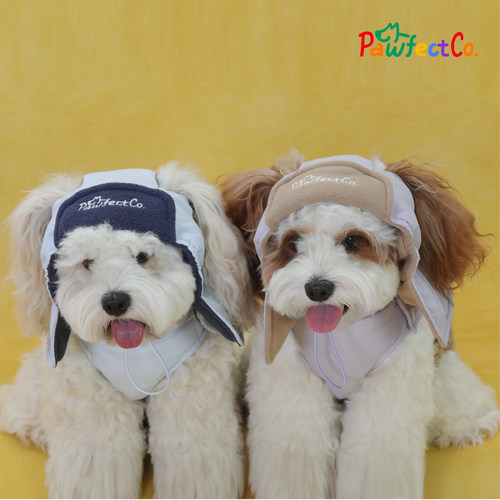 宠物狗冬棉服小型犬衣服防风保暖