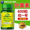 新西兰进口原料蓝莓叶黄素120/瓶*5