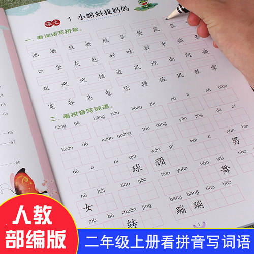 二年级上册看拼音写词语写汉字生字注音一课一练天天练彩绘版语文专项训练工具书写字练字练习册本笔顺汉字写字天天练人教版习题册