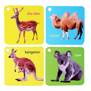 【任选4本26元】撕不烂启蒙认知卡动物世界大中小班幼儿园学习卡图卡片识别卡锻炼脑力开发智力思维训练儿童趣味玩具带卡环含拼音