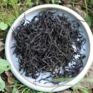 寿宁高山红茶荒野茶叶金牡丹正宗特级花果浓香型小种2026春新茶