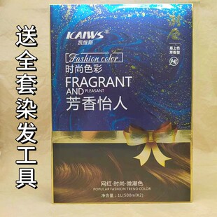 凯维斯网红时尚微潮染500ml*2染发剂易上色温和型多色炫彩盖白发