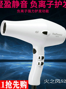 火之凤电吹风机专业大功率发廊美发店家用负离子护发冷热风5201A