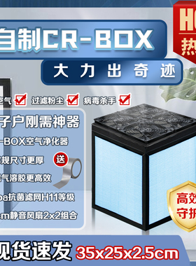定制芒果CRBOX空气净化器滤芯hepa过滤网H11家用消杀diy材料包邮