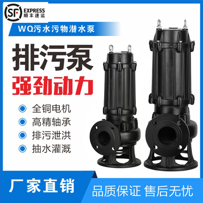 上海人民排污泵化粪池搅匀地下室提升降水井集水坑潜污泵三相380V