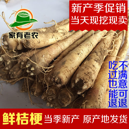 包邮新产鲜桔梗1500克/二年生鲜桔梗/狗宝咸菜/赤峰新产/3斤