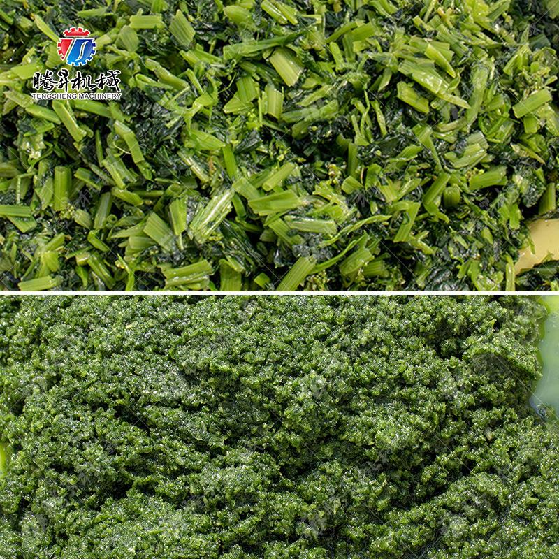 多功能切碎 机家用蔬果肉类全自动切碎钢机蒜 不锈蓉WNW切碎机 碎