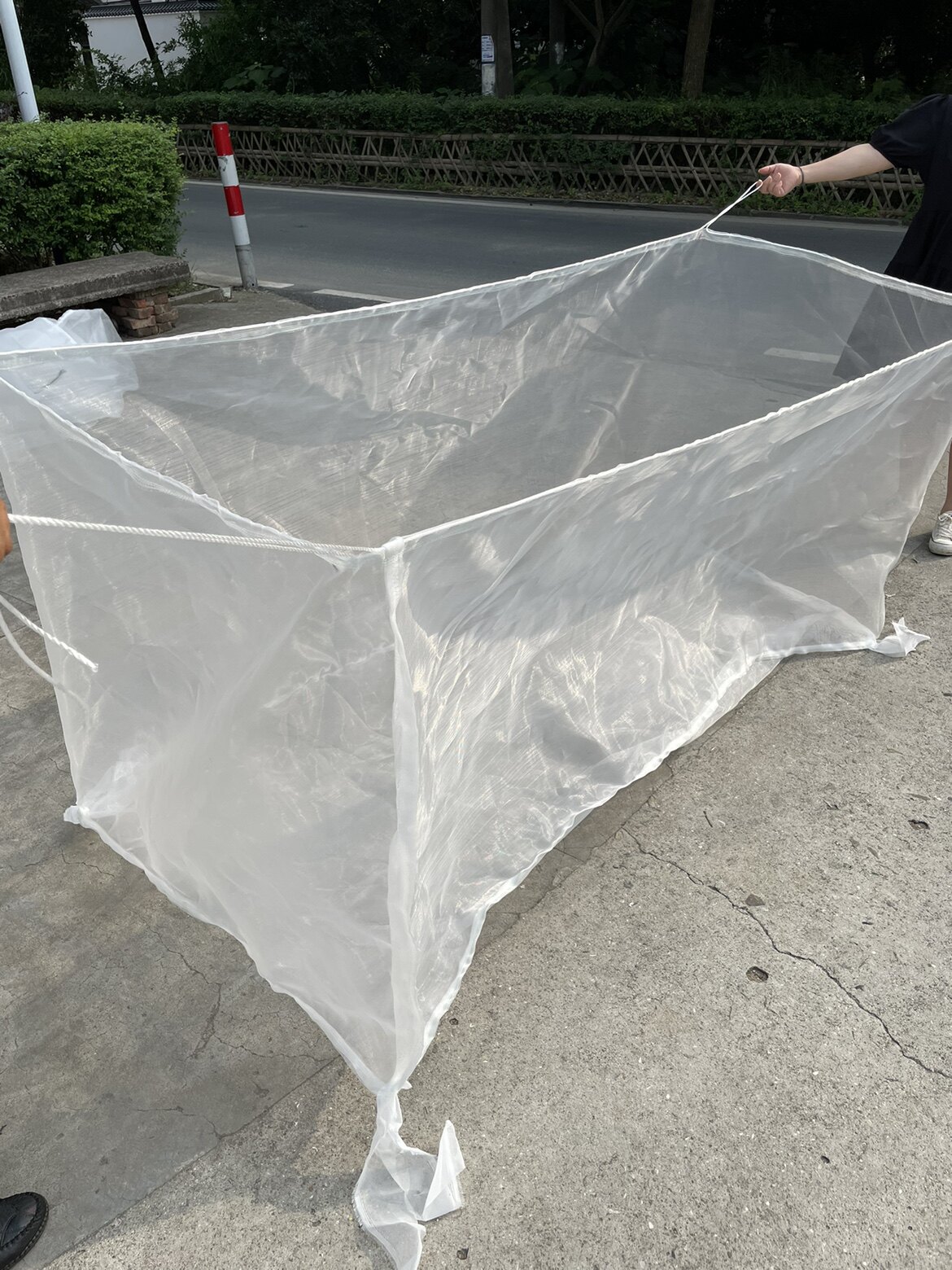 厚40目60目水蛭养殖网 防逃网牛蛙蚯蚓网箱围网虾苗小苗孵化养殖