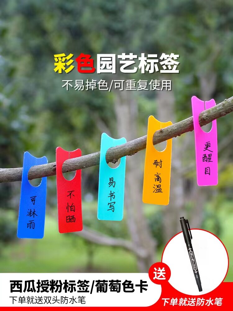 葡萄标记牌授粉记号卡西瓜苗木环扣花卉标签标识卡牌水果挂吊牌子图片